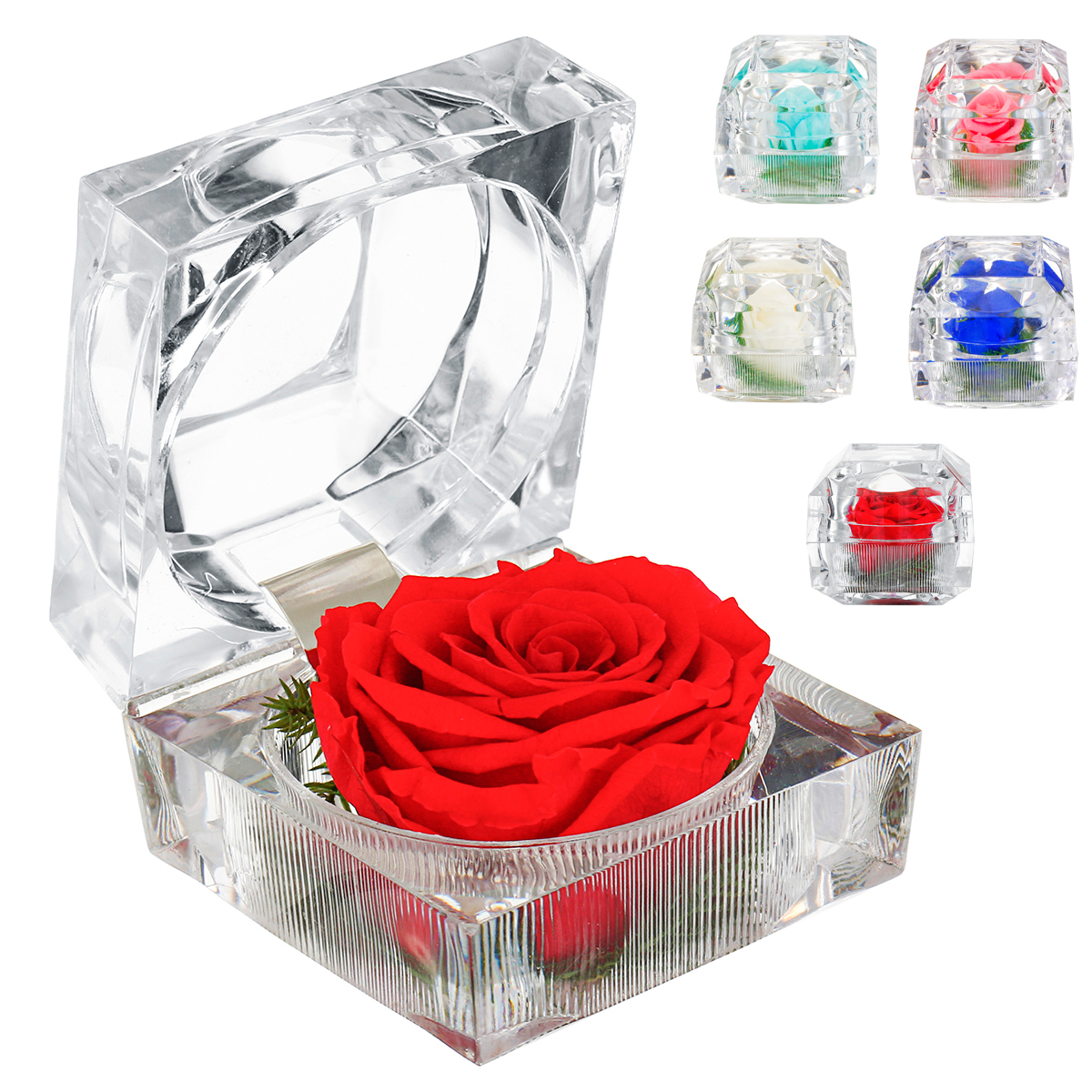 Živá růže - Nesmrtelný květ růže v dárkové krabičce