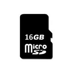 m_3905.jpg
