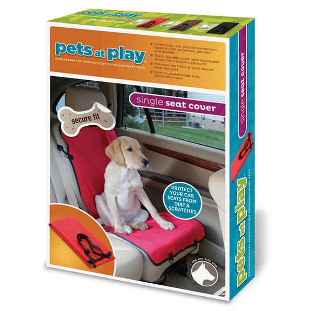 pets-at-play_single.jpg